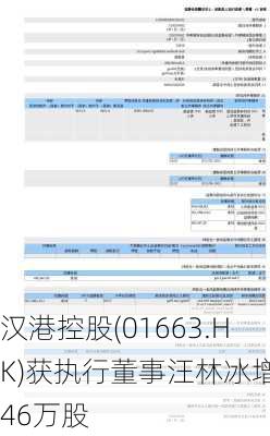 汉港控股(01663.HK)获执行董事汪林冰增持46万股