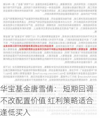 华宝基金唐雪倩： 短期回调不改配置价值 红利策略适合逢低买入