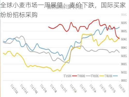 全球小麦市场一周展望：麦价下跌，国际买家纷纷招标采购