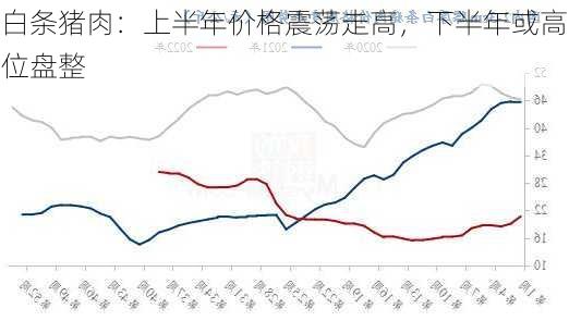 白条猪肉：上半年价格震荡走高，下半年或高位盘整