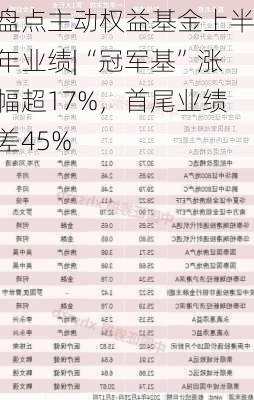 盘点主动权益基金上半年业绩|“冠军基”涨幅超17%，首尾业绩差45%