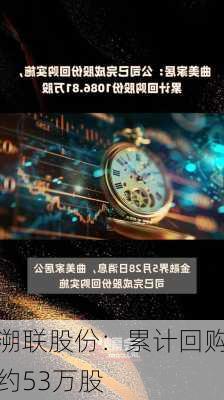 溯联股份：累计回购约53万股