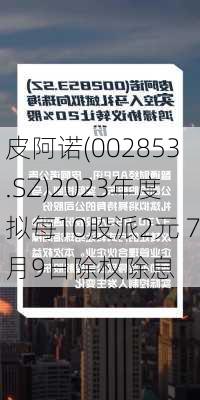 皮阿诺(002853.SZ)2023年度拟每10股派2元 7月9日除权除息