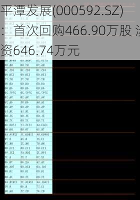 平潭发展(000592.SZ)：首次回购466.90万股 涉资646.74万元