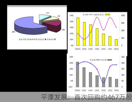 平潭发展：首次回购约467万股