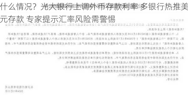 什么情况？光大银行上调外币存款利率 多银行热推美元存款 专家提示汇率风险需警惕