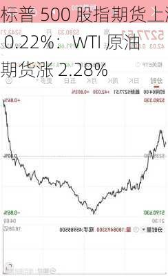 标普 500 股指期货上涨 0.22%：WTI 原油期货涨 2.28%