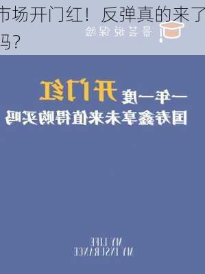 市场开门红！反弹真的来了吗？