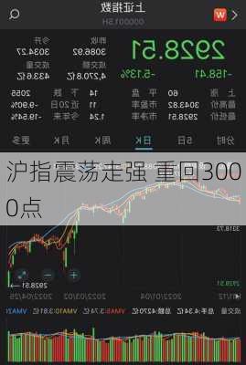 沪指震荡走强 重回3000点