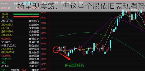 场呈现震荡，但这些个股依旧表现强势