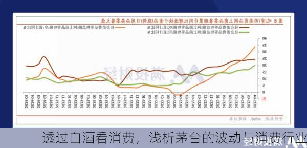 透过白酒看消费，浅析茅台的波动与消费行业