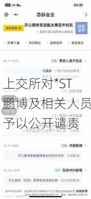 上交所对*ST鹏博及相关人员予以公开谴责