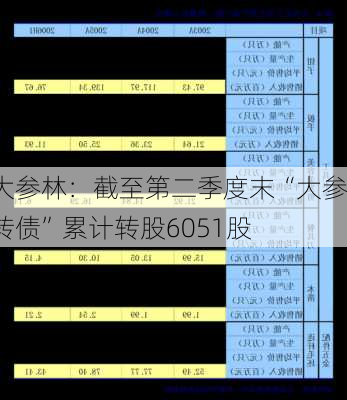 大参林：截至第二季度末“大参转债”累计转股6051股