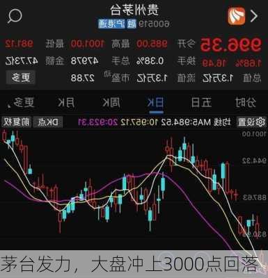 茅台发力，大盘冲上3000点回落