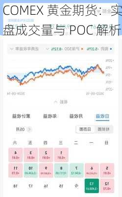 COMEX 黄金期货：实盘成交量与 POC 解析