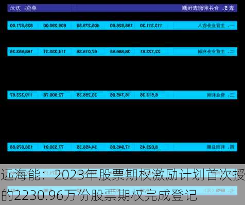 中远海能：2023年股票期权激励计划首次授予的2230.96万份股票期权完成登记