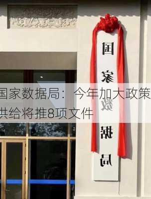 国家数据局：今年加大政策供给将推8项文件