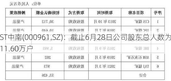 ST中南(000961.SZ)：截止6月28日公司股东总人数为11.60万户