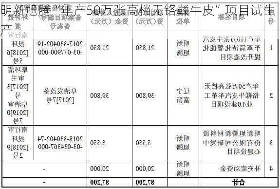 明新旭腾“年产50万张高档无铬鞣牛皮”项目试生产