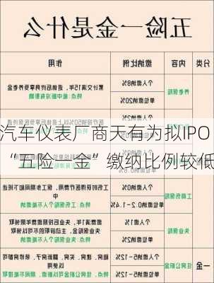 汽车仪表厂商天有为拟IPO “五险一金”缴纳比例较低