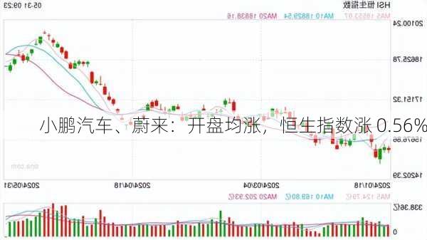 小鹏汽车、蔚来：开盘均涨，恒生指数涨 0.56%