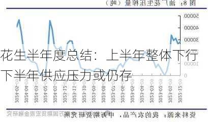 花生半年度总结：上半年整体下行 下半年供应压力或仍存