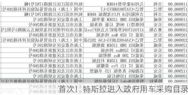 首次！特斯拉进入政府用车采购目录