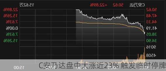 C安乃达盘中大涨近23% 触发临时停牌