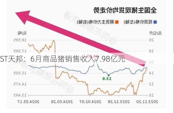 ST天邦：6月商品猪销售收入7.98亿元