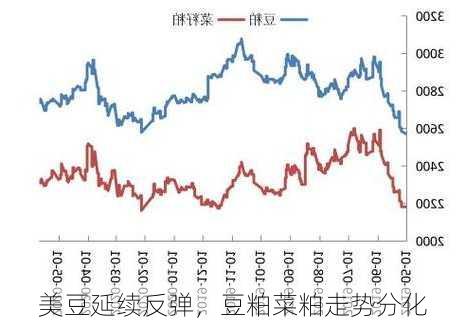 美豆延续反弹，豆粕菜粕走势分化