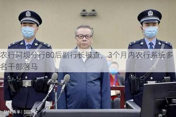 农行阿坝分行80后副行长被查，3个月内农行系统多名干部落马