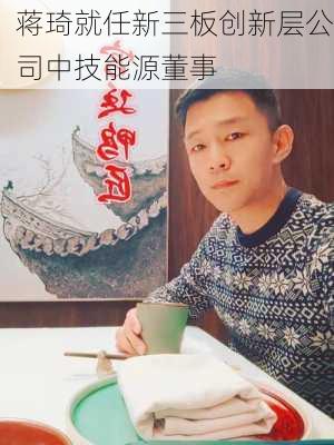 蒋琦就任新三板创新层公司中技能源董事