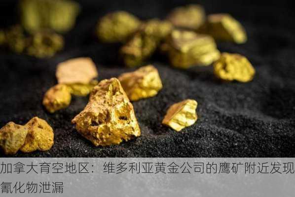 加拿大育空地区：维多利亚黄金公司的鹰矿附近发现氰化物泄漏