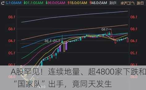 A股罕见！连续地量、超4800家下跌和“国家队”出手，竟同天发生