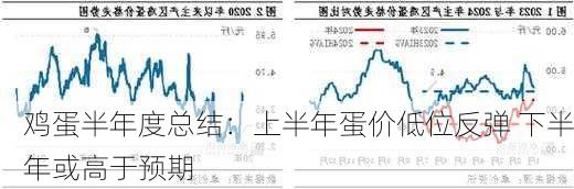 鸡蛋半年度总结：上半年蛋价低位反弹 下半年或高于预期