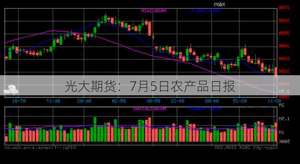 光大期货：7月5日农产品日报