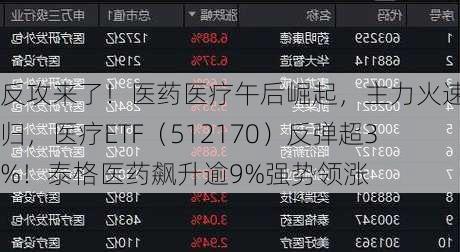 反攻来了！医药医疗午后崛起，主力火速回归，医疗ETF（512170）反弹超3%！泰格医药飙升逾9%强势领涨