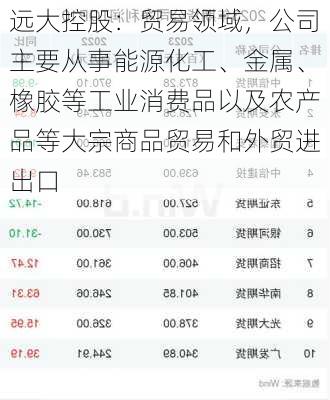 远大控股：贸易领域，公司主要从事能源化工、金属、橡胶等工业消费品以及农产品等大宗商品贸易和外贸进出口