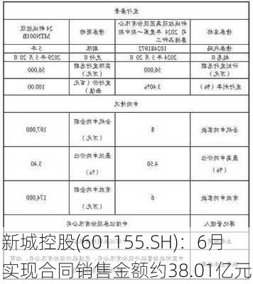 新城控股(601155.SH)：6月实现合同销售金额约38.01亿元