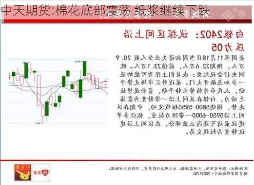 中天期货:棉花底部震荡 纸浆继续下跌