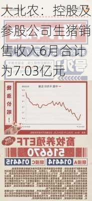 大北农：控股及参股公司生猪销售收入6月合计为7.03亿元