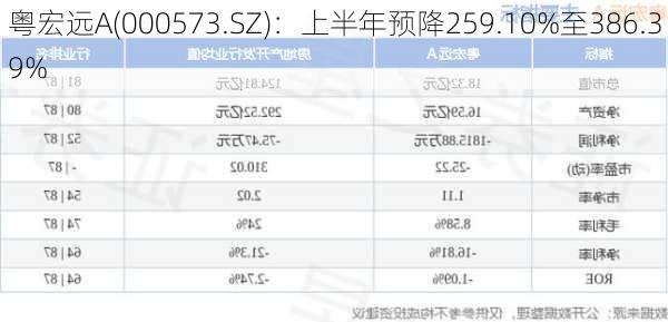 粤宏远A(000573.SZ)：上半年预降259.10%至386.39%