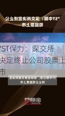 *ST保力：深交所决定终止公司股票上市