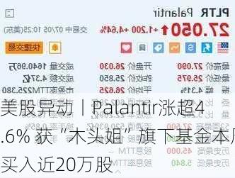 美股异动丨Palantir涨超4.6% 获“木头姐”旗下基金本周买入近20万股