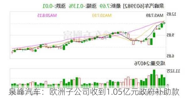 泉峰汽车：欧洲子公司收到1.05亿元政府补助款