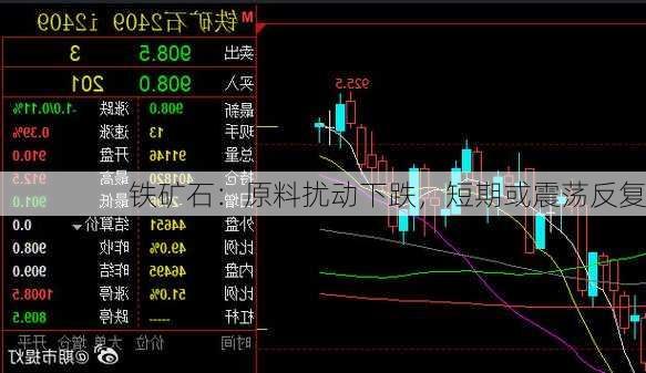 铁矿石：原料扰动下跌，短期或震荡反复