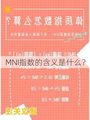 MNI指数的含义是什么？