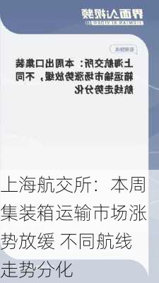 上海航交所：本周集装箱运输市场涨势放缓 不同航线走势分化