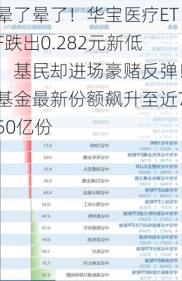 晕了晕了！华宝医疗ETF跌出0.282元新低，基民却进场豪赌反弹！基金最新份额飙升至近750亿份