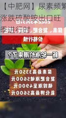 【中肥网】尿素频繁涨跌　硫酸铵出口旺季进行时